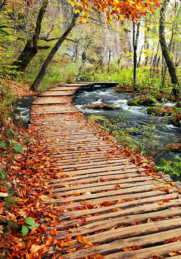 Πινακας σε καμβά AUTUMN COLOURS