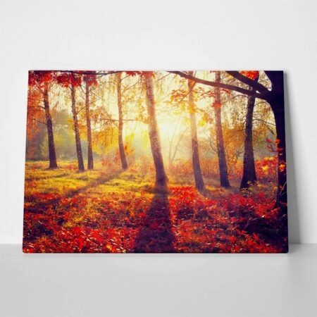 Πινακας σε καμβά BEAUTIFUL AUTUMN PARK 2 - Δασος Sticky 1