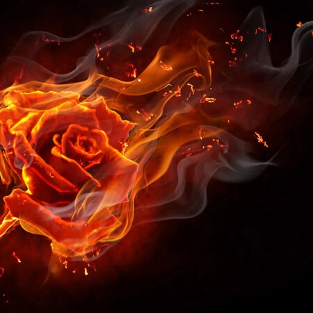 Πινακας σε καμβά BURNING ROSE - Τριανταφυλλα Sticky 4