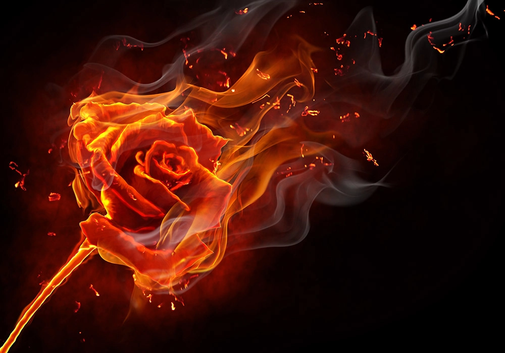 Πινακας σε καμβά BURNING ROSE
