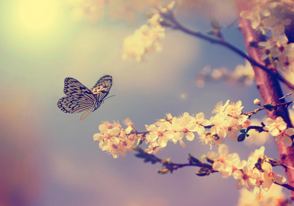 Πινακας σε καμβά BUTTERFLY TREE