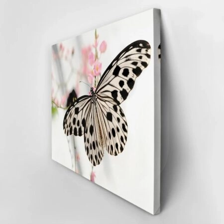 Πινακας σε καμβά BUTTERFLY - Πεταλουδες Sticky 2