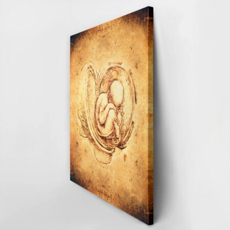 Πινακας σε καμβά DA VINCI - STYLE FETUS - Leonardo Da Vinci Sticky 2