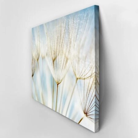 Πινακας σε καμβά DANDELION - Dandelion Sticky 2
