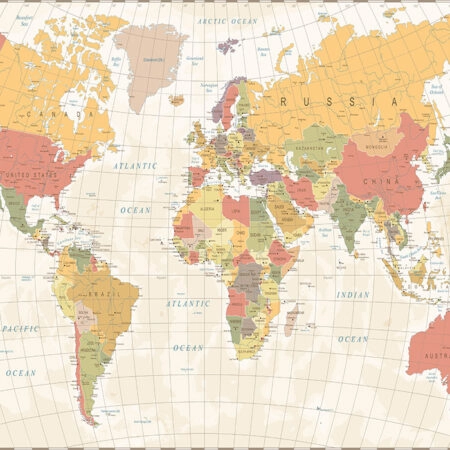 Πινακας σε καμβά DETAILED ILLUSTRATION WORLD MAP - Χαρτες Sticky 4