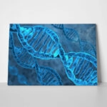 Πινακας σε καμβά DNA