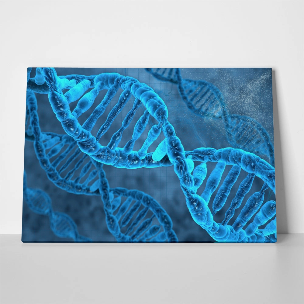 Πινακας σε καμβά DNA