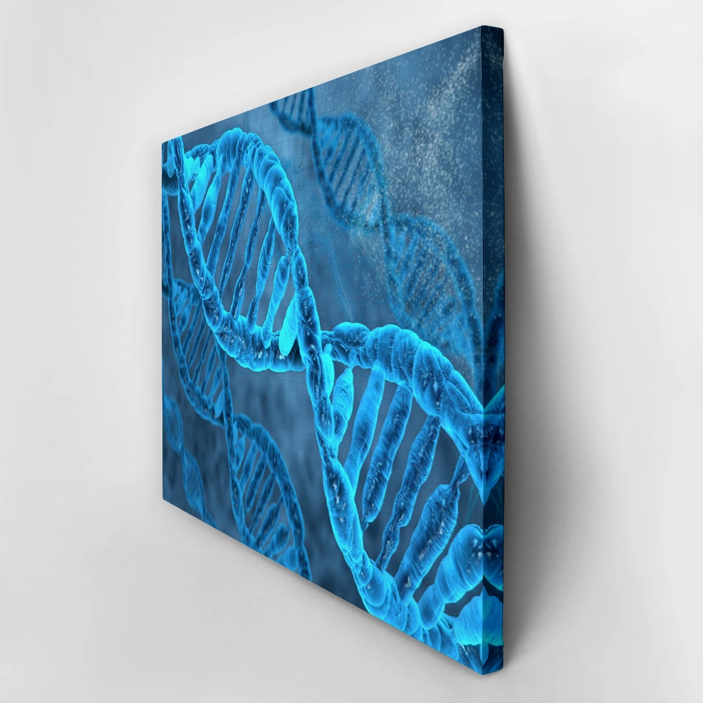 Πινακας σε καμβά DNA