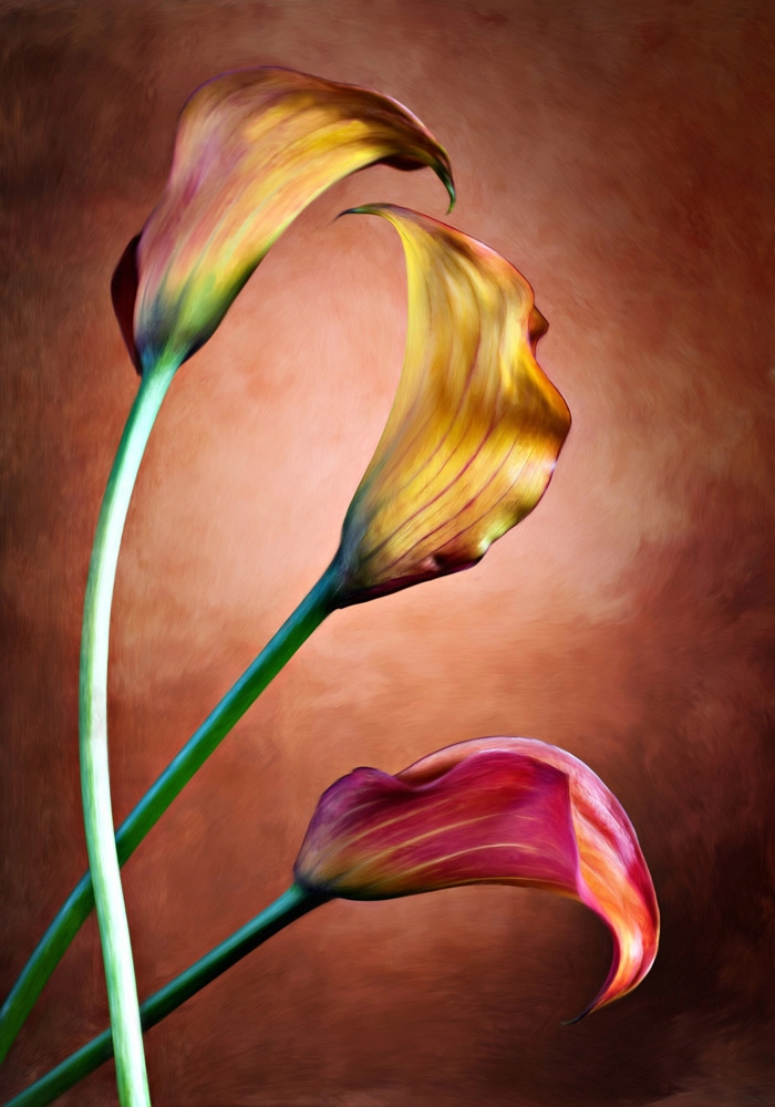 Πινακας σε καμβά ELEGANT FLOWERS