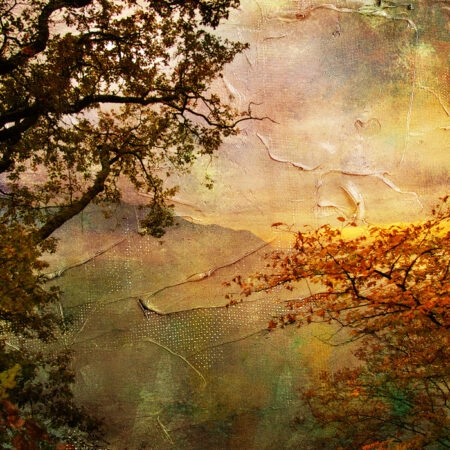 Πινακας σε καμβά GLOOMY SUNSET - Δασος Sticky 4