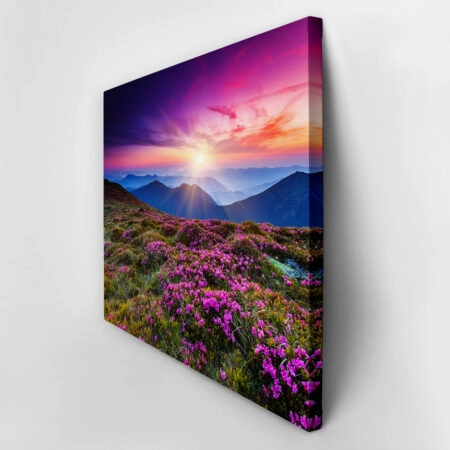 Πινακας σε καμβά MOUNTAIN FLOWERS - Βουνα Sticky 2