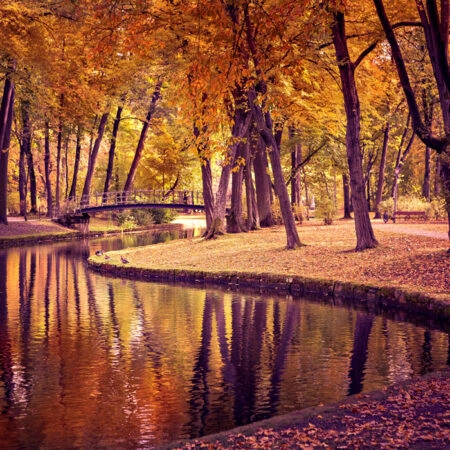 Πινακας σε καμβά OLD PARK IN FALL - Λιμνες - Ποταμια Sticky 4