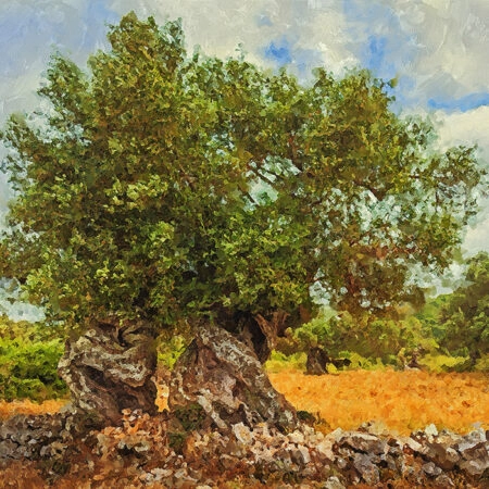 Πινακας σε καμβά OLIVE DRAWING 1 - Υπαιθρος Sticky 4