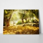 Πινακας σε καμβά OLIVE TREES 2