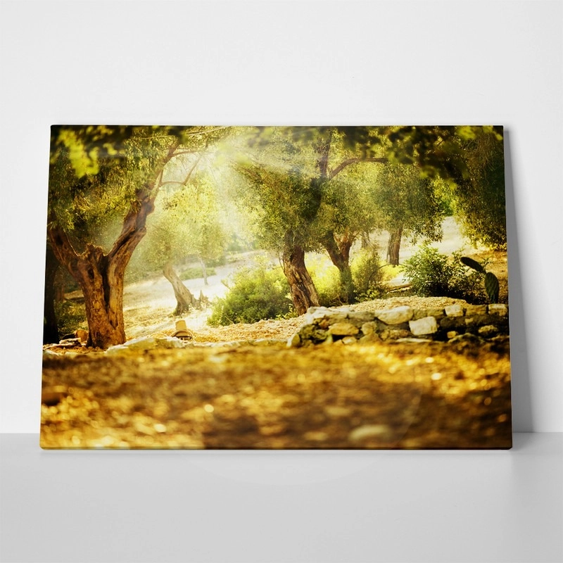 Πινακας σε καμβά OLIVE TREES 2