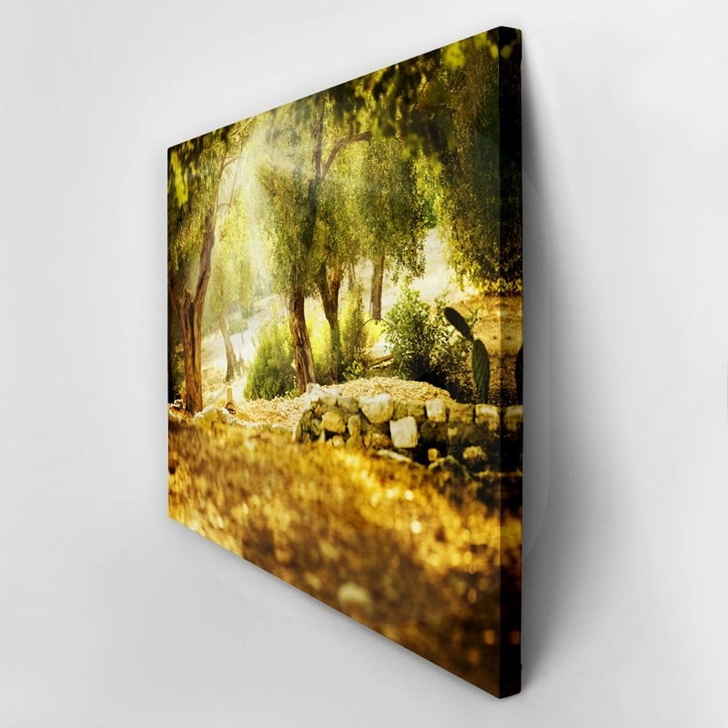 Πινακας σε καμβά OLIVE TREES 2