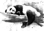 Πινακας σε καμβά PANDA PAINTING SLEEPING