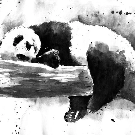 Πινακας σε καμβά PANDA PAINTING SLEEPING - Ζωα Sticky 4