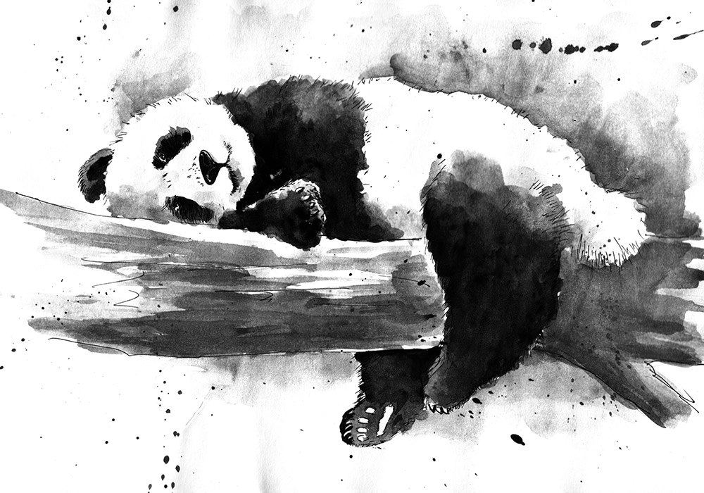 Πινακας σε καμβά PANDA PAINTING SLEEPING