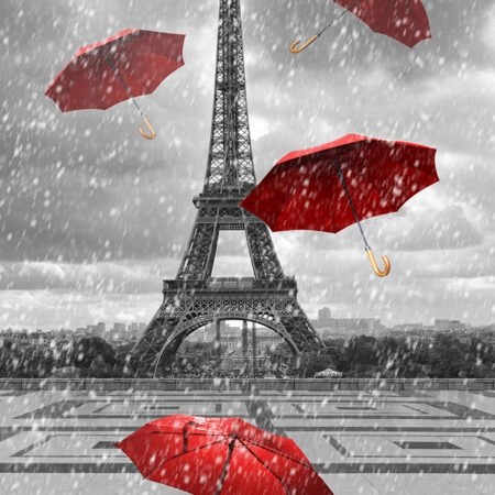 Πινακας σε καμβά PARIS RAIN 1 - Παρισι Sticky 5