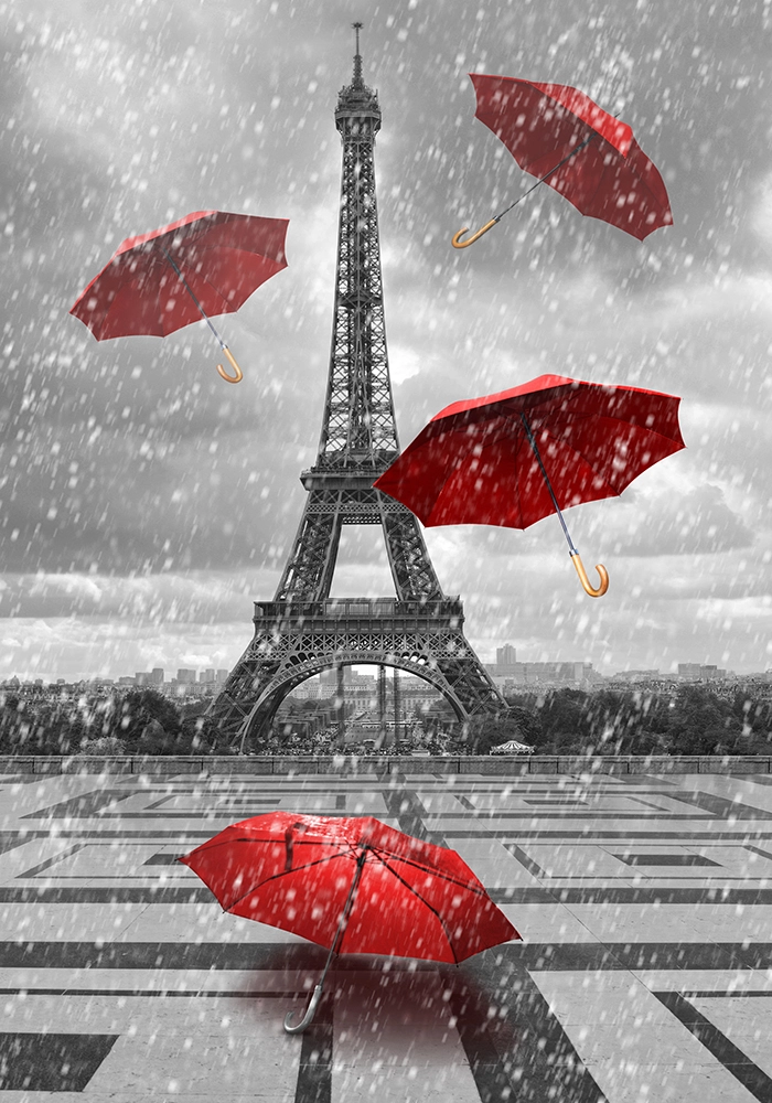 Πινακας σε καμβά PARIS RAIN 1