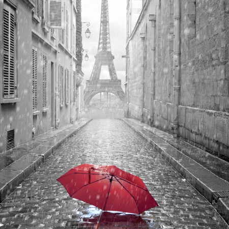 Πινακας σε καμβά PARIS RAIN 2 - Παρισι Sticky 5