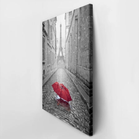 Πινακας σε καμβά PARIS RAIN 2 - Παρισι Sticky 3