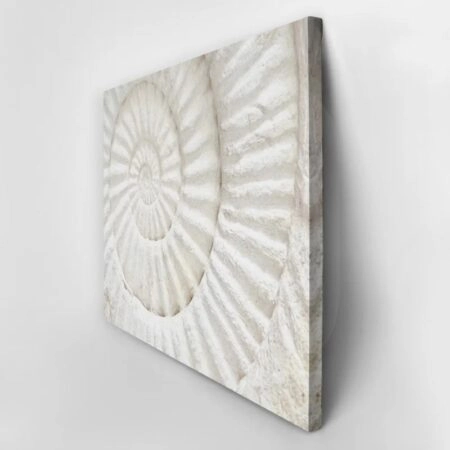 Πινακας σε καμβά PREHISTORIC FOSSIL MACRO - Κοχυλια Sticky 2