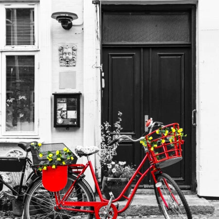 Πινακας σε καμβά RED BIKE 2 - Ποδηλατα Sticky 4