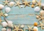 Πινακας σε καμβά SEA SHELLS FRAME