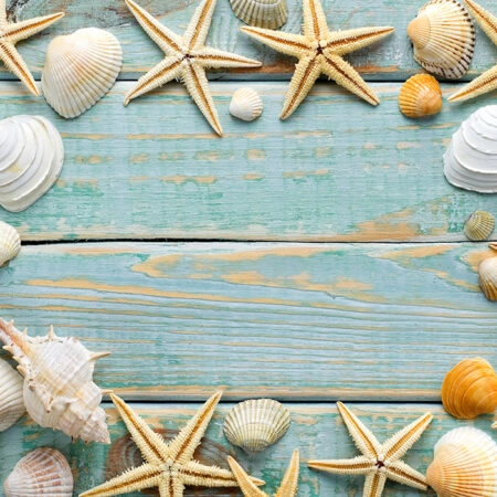 Πινακας σε καμβά SEA SHELLS FRAME - Κοχυλια Sticky 5