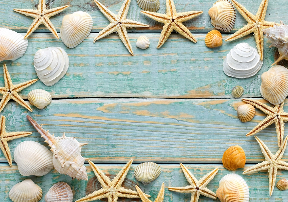 Πινακας σε καμβά SEA SHELLS FRAME