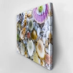 Πινακας σε καμβά SEASHELL COLLECTION