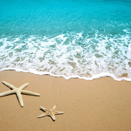 Πινακας σε καμβά STARFISHES SAND - Παραλιες Sticky 5