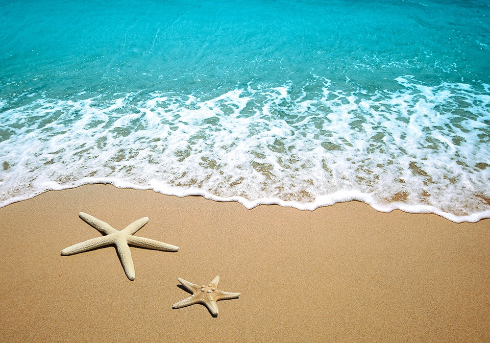 Πινακας σε καμβά STARFISHES SAND