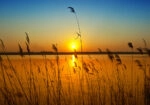 Πινακας σε καμβά SUNSET 1
