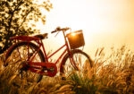 Πινακας σε καμβά SUNSET BIKE