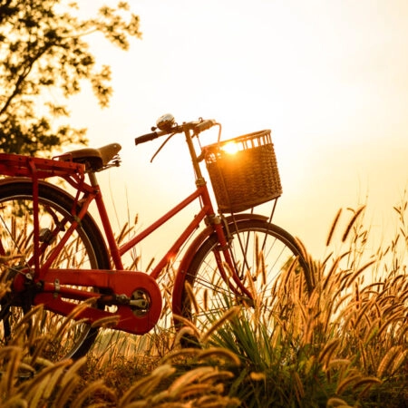 Πινακας σε καμβά SUNSET BIKE - Ποδηλατα Sticky 5