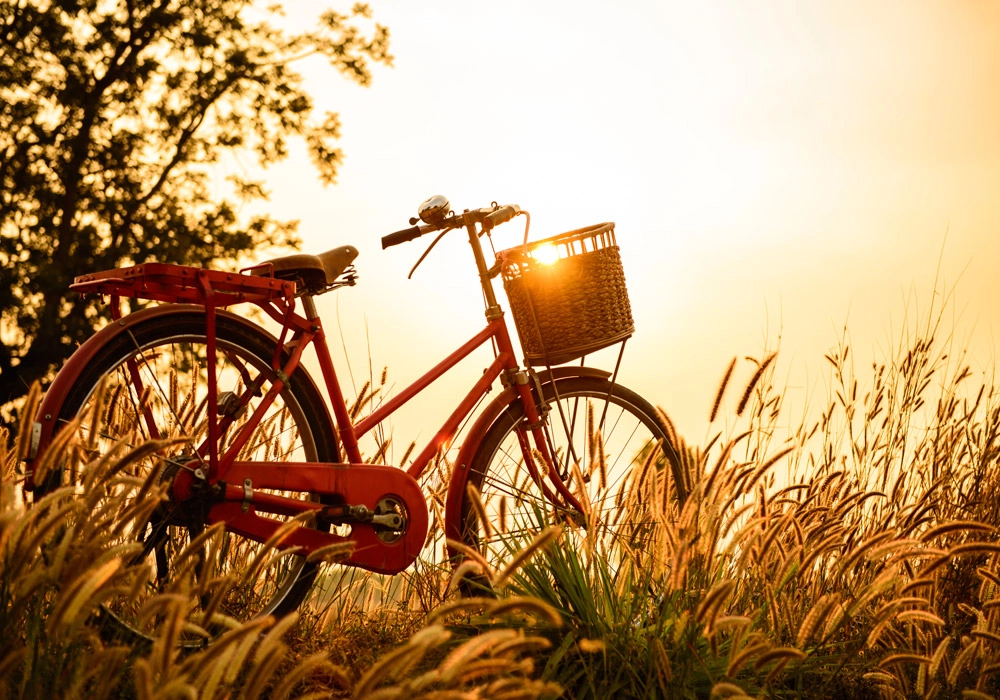 Πινακας σε καμβά SUNSET BIKE