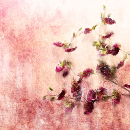 Πινακας σε καμβά TWIG OF FLOWERS ON GRUNGE BACKGROUND - Τριανταφυλλα Sticky 4