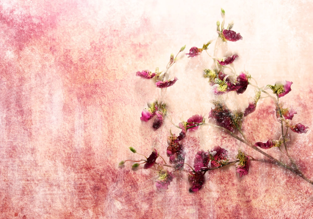 Πινακας σε καμβά TWIG OF FLOWERS ON GRUNGE BACKGROUND