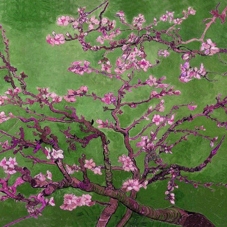 Πινακας σε καμβά VAN GOGH - ALMOND BLOSSOM GREEN - Vincent Van Gogh Sticky 5