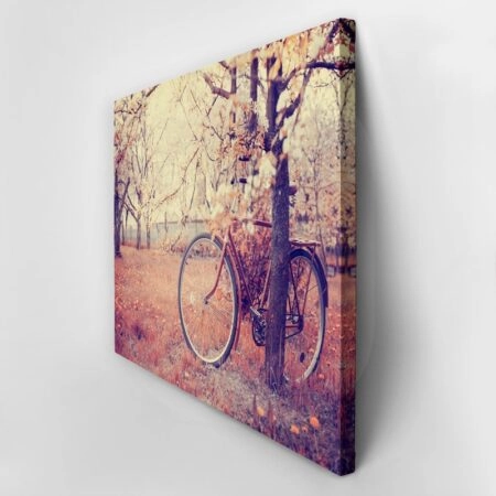 Πινακας σε καμβά VINTAGE BICYCLE FLOWERS - Ποδηλατα Sticky 2