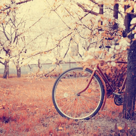 Πινακας σε καμβά VINTAGE BICYCLE FLOWERS - Ποδηλατα Sticky 4