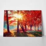 Πινακας σε καμβά AUTUMN FALL SCENE