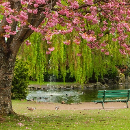 Πινακας σε καμβά BENCH POND - Λιμνες - Ποταμια Sticky 4