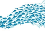 Πινακας σε καμβά BLUE SCHOOL FISH