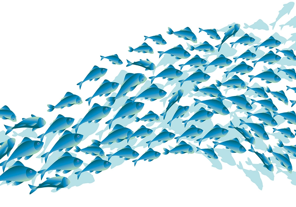 Πινακας σε καμβά BLUE SCHOOL FISH