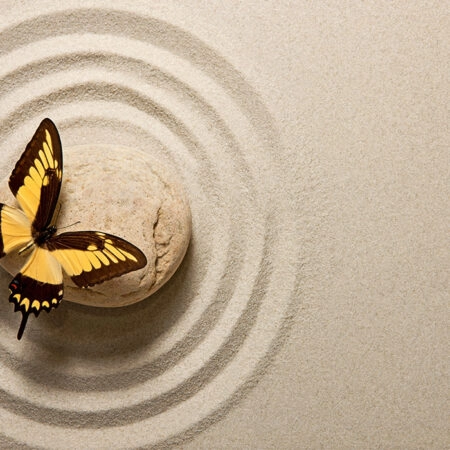 Πινακας σε καμβά BUTTERFLY ZEN - Πεταλουδες Sticky 4