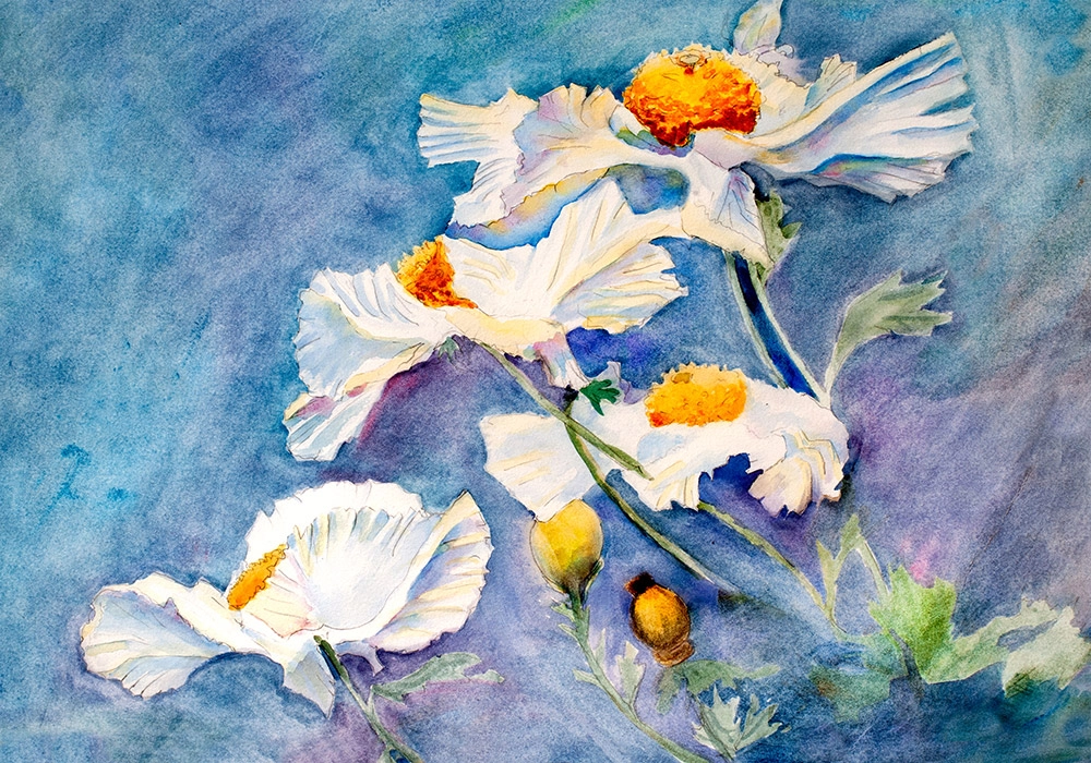 Πινακας σε καμβά FLORAL